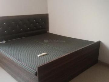1 BHK Apartment in Sector 89A for rent Gurgaon. The reference number is 20355305