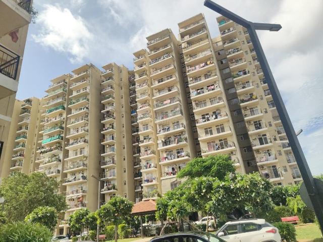 1 BHK Apartment in Sector 95 for rent Gurgaon. The reference number is 21163976