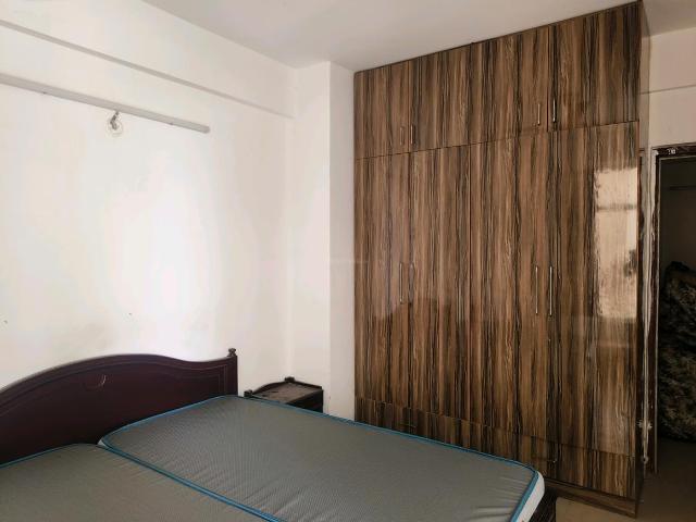1 BHK Apartment in Sector 92 for rent Gurgaon. The reference number is 20667049