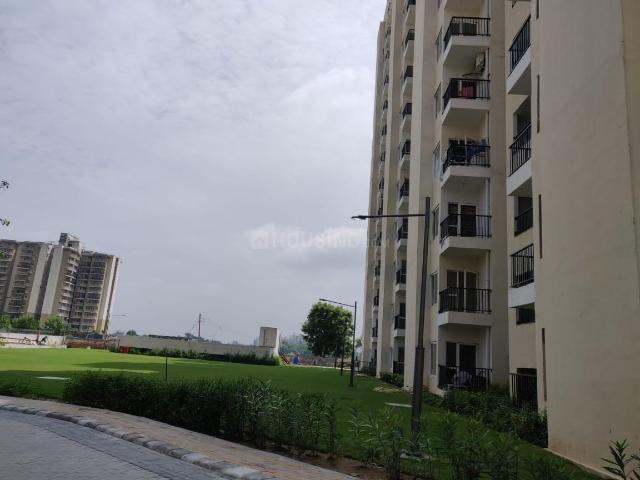 1 BHK Apartment in Sector 92 for rent Gurgaon. The reference number is 20939730