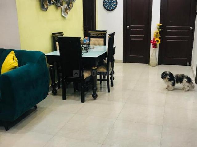 1 BHK Apartment in Siddharth Vihar for rent Ghaziabad. The reference number is 18931736