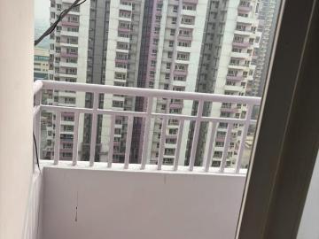 1 BHK Apartment in Siddharth Vihar for rent Ghaziabad. The reference number is 20517021