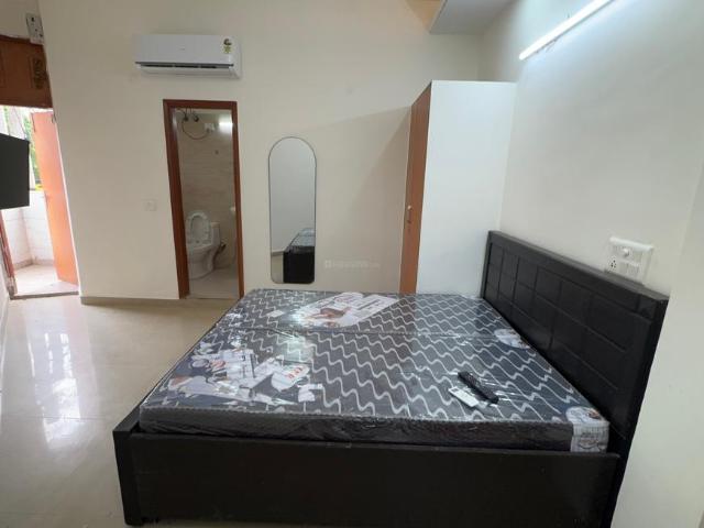 1 BHK Apartment in Sushant Lok Phase 1 for rent Gurgaon. The reference number is 20854639