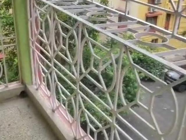1 BHK Apartment in Patuli for rent Kolkata. The reference number is 20448165
