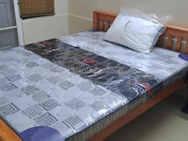 1 BHK Apartment in Panampilly Nagar for rent Kochi. The reference number is 21382844