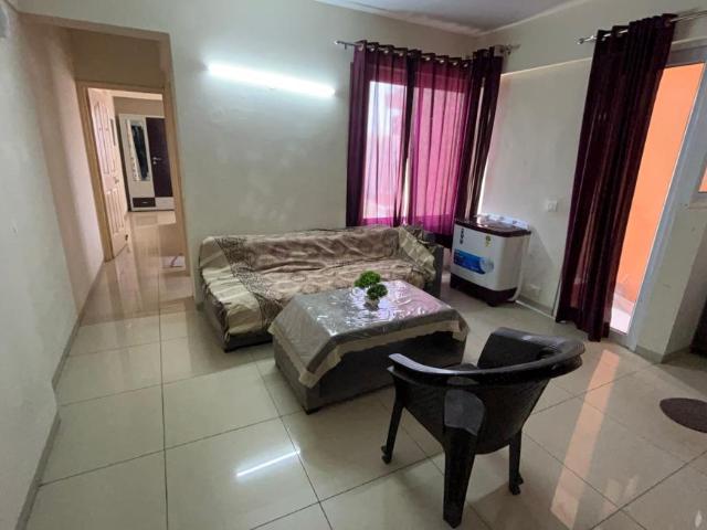1 BHK Apartment in Wave City for rent Ghaziabad. The reference number is 20847321