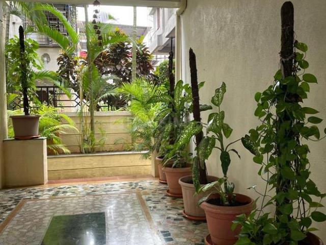 1 BHK Apartment in Wadgaon Sheri for rent Pune. The reference number is 21097506