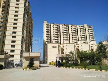 1 BHK Apartment in Tapukara for resale Bhiwadi. The reference number is 19163306