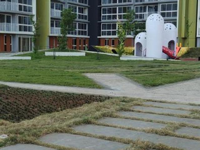 1 BHK Apartment in Thane West for rent Thane. The reference number is 10990033