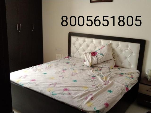 1 BHK Apartment in Theekariya for rent Jaipur. The reference number is 8855804