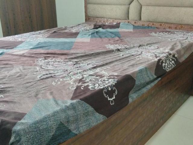 1 BHK Apartment in Ulwe for rent Navi Mumbai. The reference number is 21134379