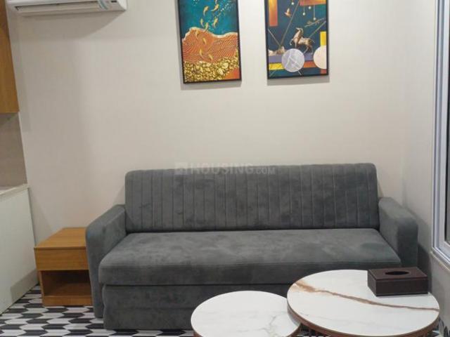 1 BHK Apartment in Vijay Nagar for rent Indore. The reference number is 21025564