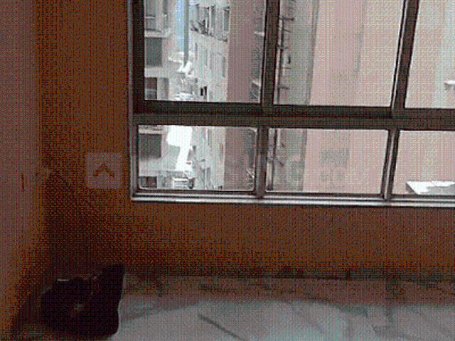 1 BHK Apartment in Vikhroli West for rent Mumbai. The reference number is 20959398