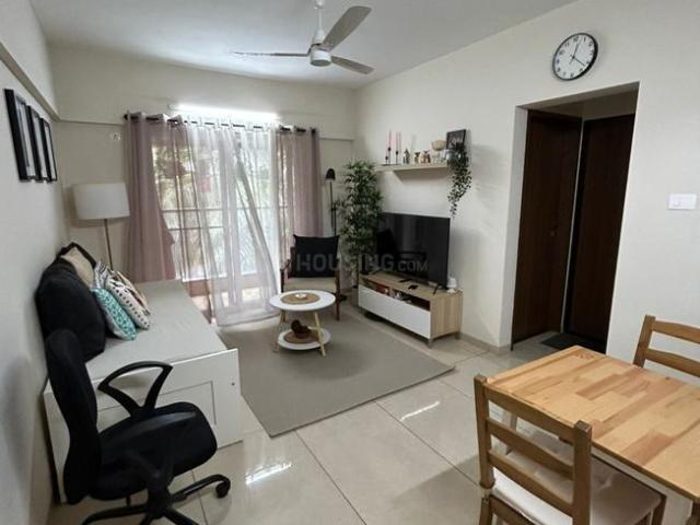 1 BHK Apartment in Viman Nagar for rent Pune. The reference number is 21126545