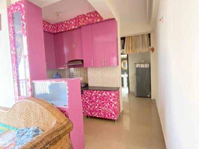 1 BHK Apartment in Zeta I for rent Greater Noida. The reference number is 20690007