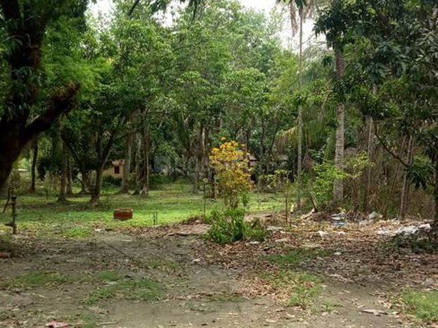 1 BHK Farm House in Madhyamgram for resale Kolkata. The reference number is 17913504