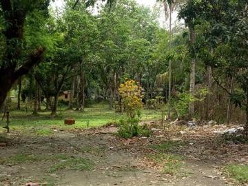 1 BHK Farm House in Madhyamgram for resale Kolkata. The reference number is 17913504