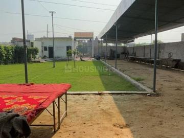 1 BHK Farm House in Mavai Village for rent Faridabad. The reference number is 20230869