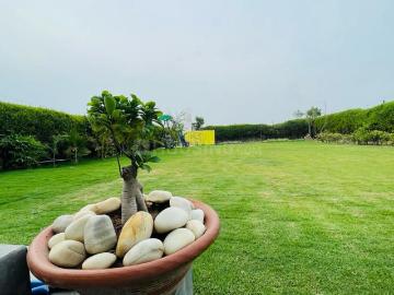 1 BHK Farm House in Iqbalpur for resale Gurgaon. The reference number is 20434302