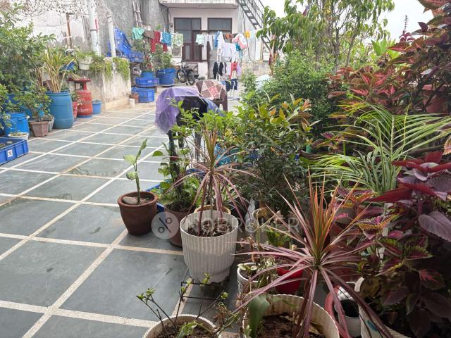 1 BHK Flat for Rent In Sector 10