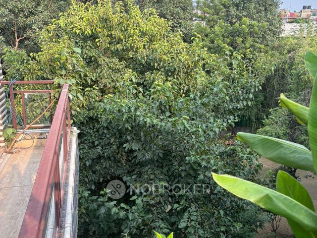 1 BHK Flat for Rent In Vikaspuri