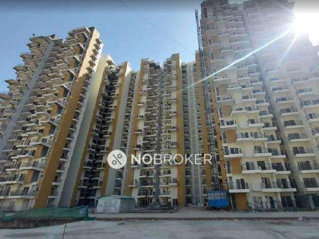 1 BHK Flat In Nx One for Rent In Amrapali Dream Valley