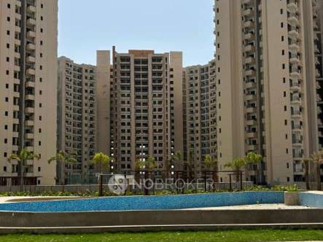 1 BHK Flat In Oasis Grandstand for Rent In Salarpur