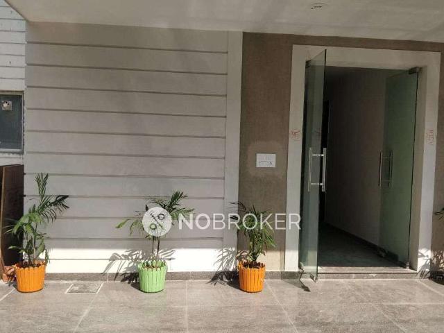 1 BHK Flat In Apartment for Rent In Sector14