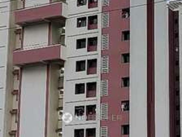 1 BHK Flat In Bhagyashree Chs for Rent In Bhagyashree Chs