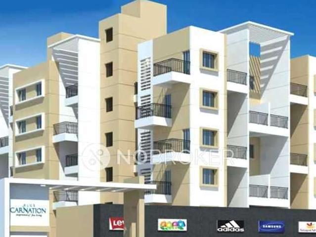 1 BHK Flat In Blue Carnation for Rent In Blue Carnation