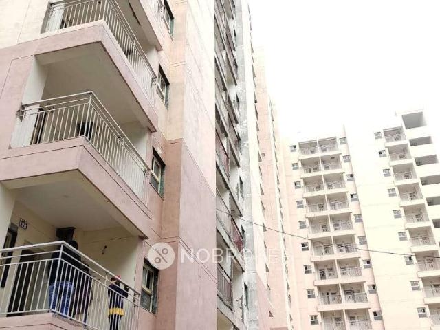 1 BHK Flat In Dda Sfs Flats for Rent In Palam