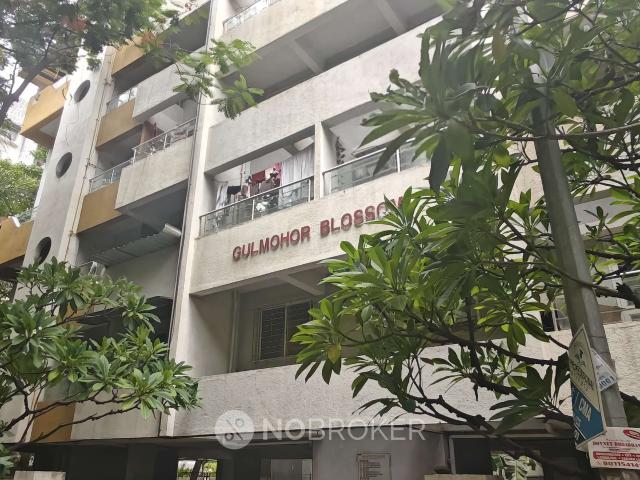1 BHK Flat In Dedge Karmarkar Gulmohar Blossom for Rent In Wakad
