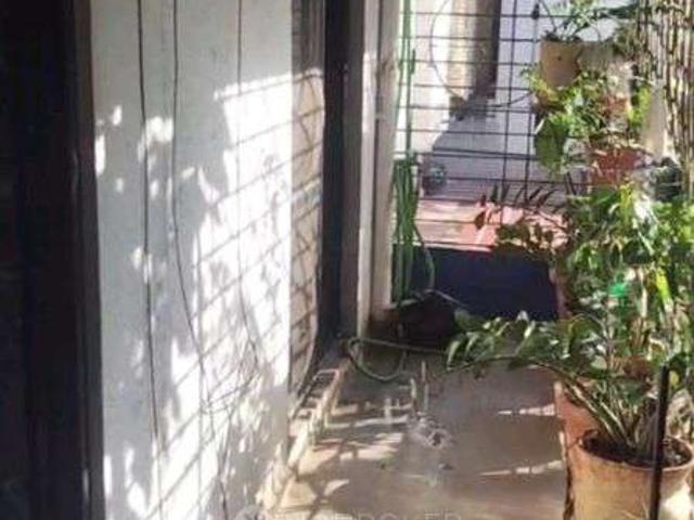 1 BHK Flat In Dream Crystal for Rent In Kharghar