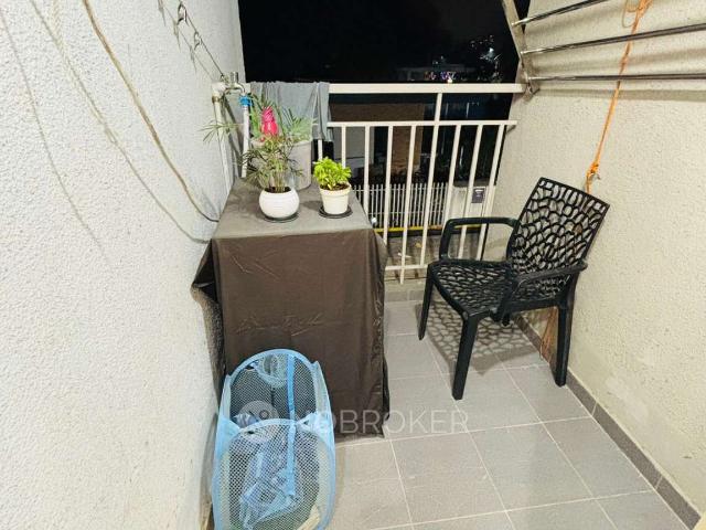 1 BHK Flat In Kalpataru Exquisite for Rent In Wakad