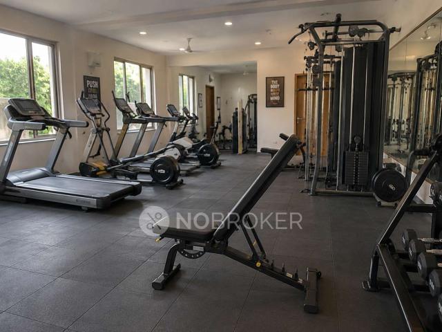1 BHK Flat In Kaveri City Centre for Rent In Delta I