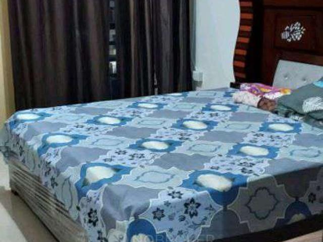 1 BHK Flat In Lotus Homz for Rent In Sector 111