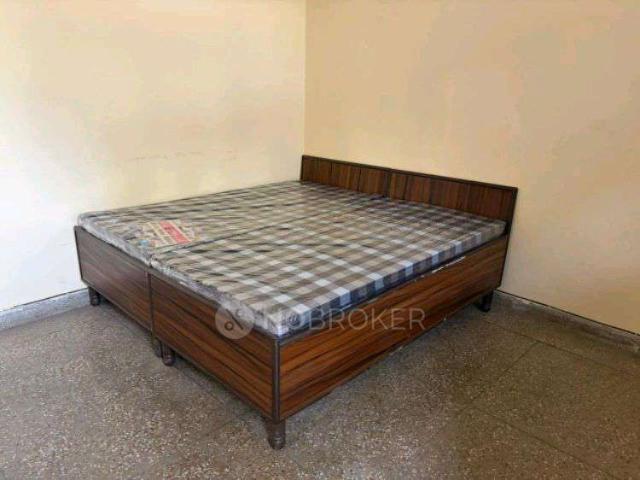 1 BHK Flat In Palam Vihar, Block C for Rent In Palam Vihar C1 Park