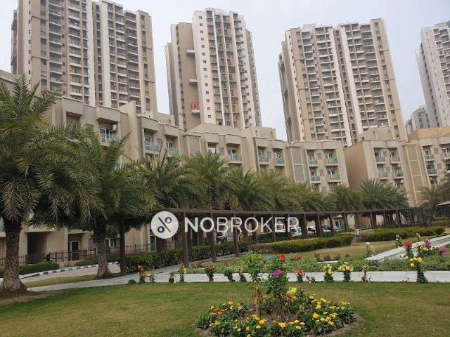 1 BHK Flat In Paras Tierea for Rent In Sector 137