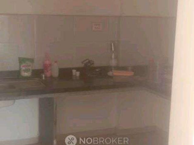 1 BHK Flat In Parklane Premier for Rent In Wagholi
