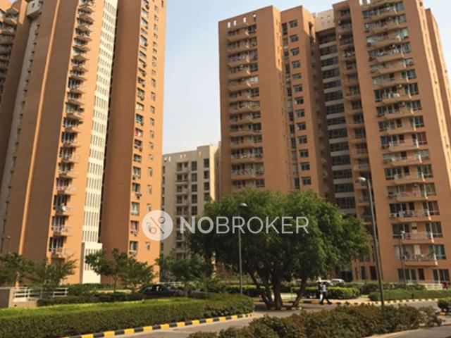 1 RK Flat In Pioneer Park for Rent In Sector 61