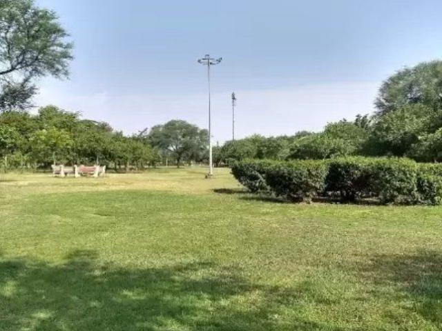 1 BHK Flat In Rose Apartments, Dwarka, For Sale In Dwarka