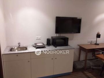 1 BHK Flat In Satya Element One For Sale In Sector 47