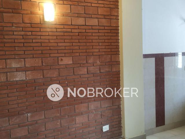 1 BHK Flat In Sb for Rent In Sector 56