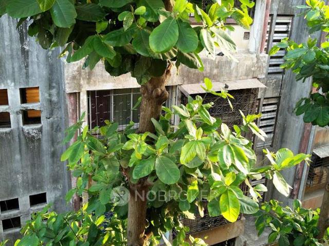 1 BHK Flat In Shiv Aangan Chs For Sale In Malad West