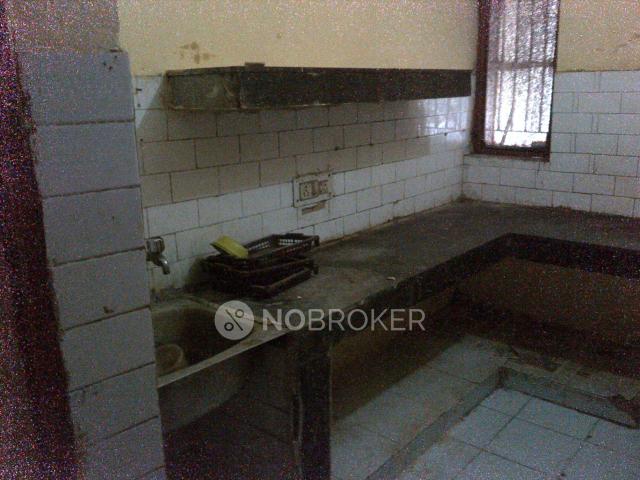 1 BHK Flat In Shree Sai Apartments, Sector 71 for Rent In Sector 71