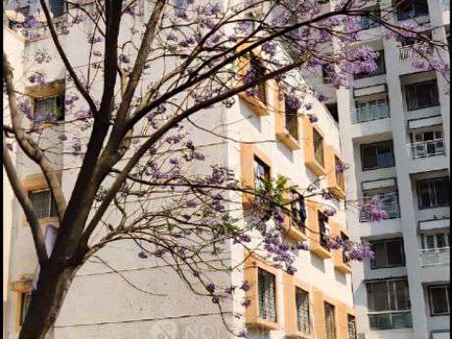 1 BHK Flat In Shreenagri Society for Rent In Wadgaon Sheri