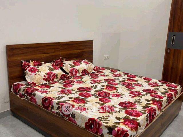 1 BHK Flat In Shri Ram Homes Prime for Rent In Sector 69