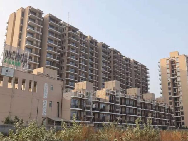 1 BHK Flat In Signature Global Synera For Sale In Sector 81