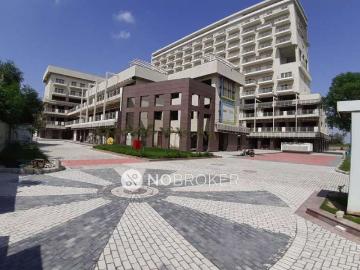 1 BHK Flat In Silverglades Merchant Plaza For Sale In Sector 88
