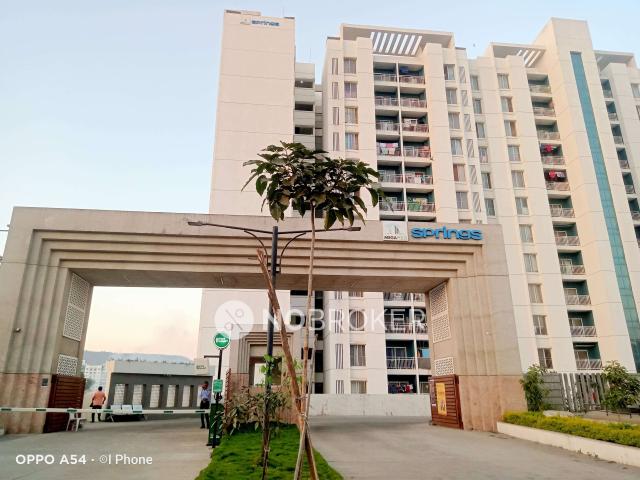 1 BHK Flat In Springs For Sale In Hinjawadi